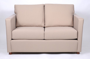 leather couch
